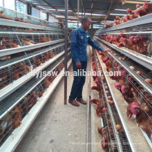 Battery Chicken Cage For Sale in Nigeria Farm